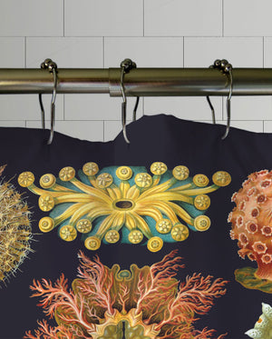 Crustaceans Shower Curtain